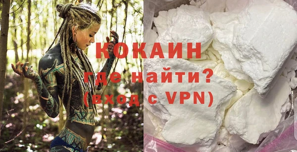 PSILOCYBIN Переславль-Залесский