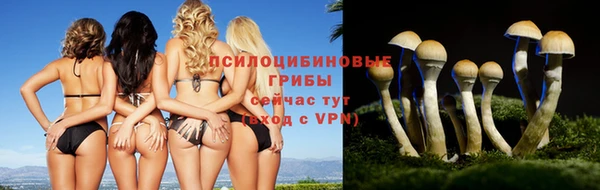 марки lsd Абаза