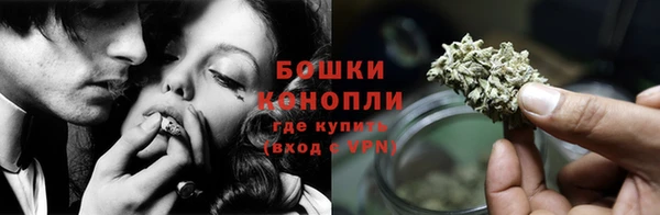 амф Пестово