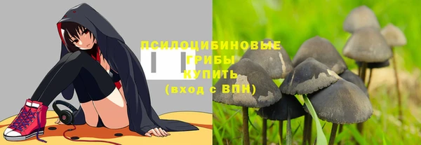 PSILOCYBIN Переславль-Залесский