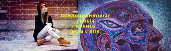 экстази Пересвет