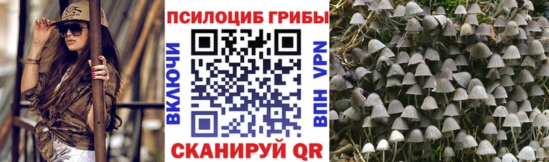 где купить   Среднеколымск  Галлюциногенные грибы мухоморы 