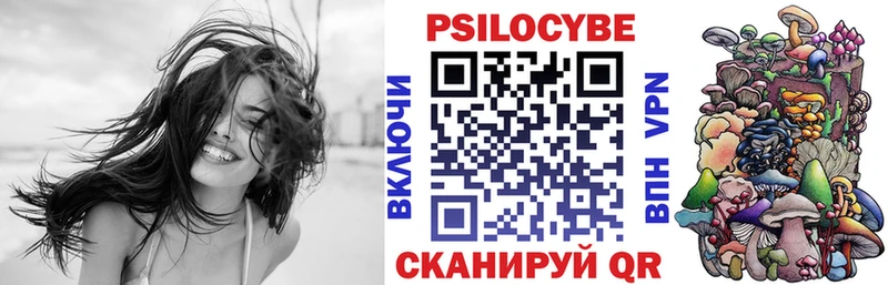 Псилоцибиновые грибы Psilocybine cubensis Среднеколымск